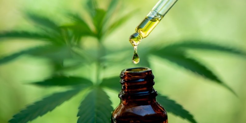 CBD Wechselwirkungen