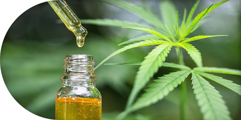 CBD-Öl-kaufen CBD Öl kaufen