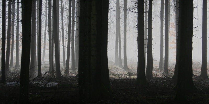 Angststörungen CBD-Öl