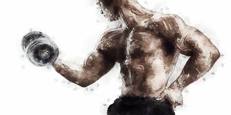 CBD-Öl Muskelaufbau