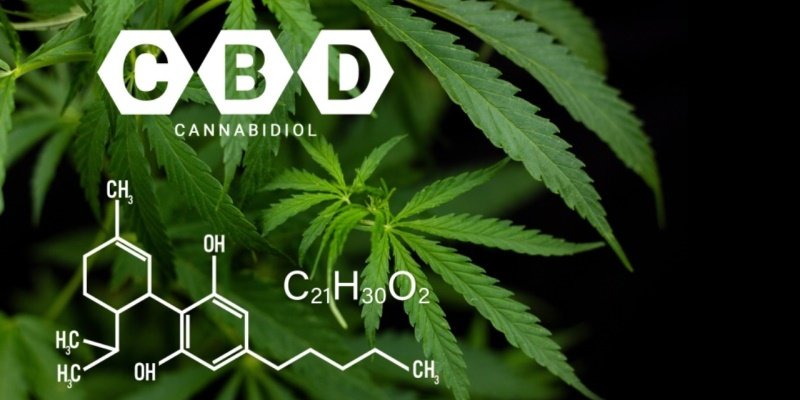CBD Bl&uuml;ten Deutschland