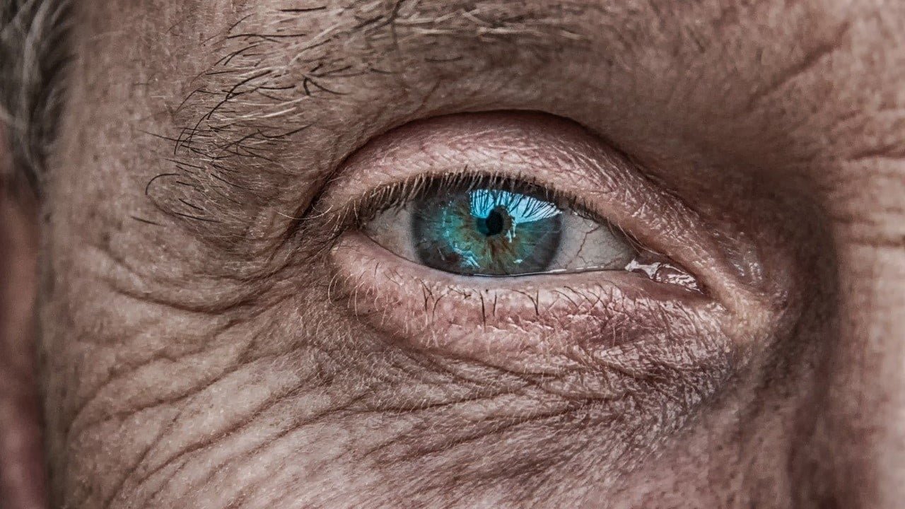 CBD-Öl Glaukom Behandlung