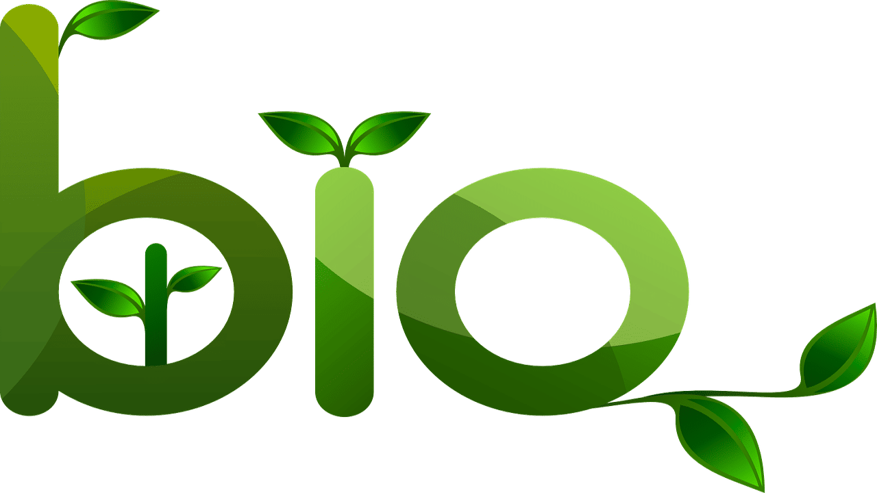 Organische CBD-Produkte