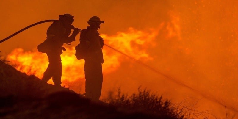 Waldbr&auml;nde Kalifornien CBD-Hanf
