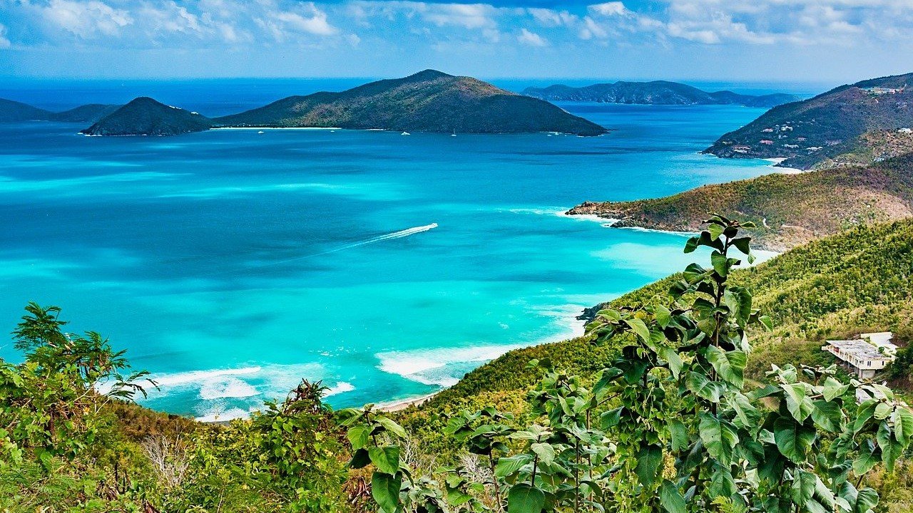 CBD Britische Inseln