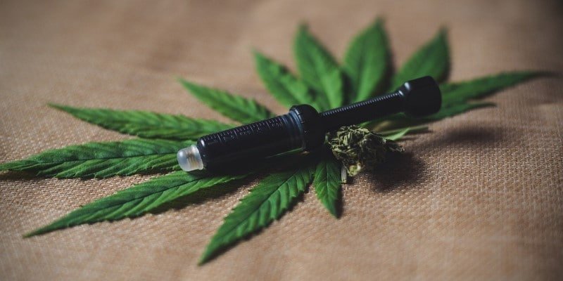 CBD Paste Anwendungen