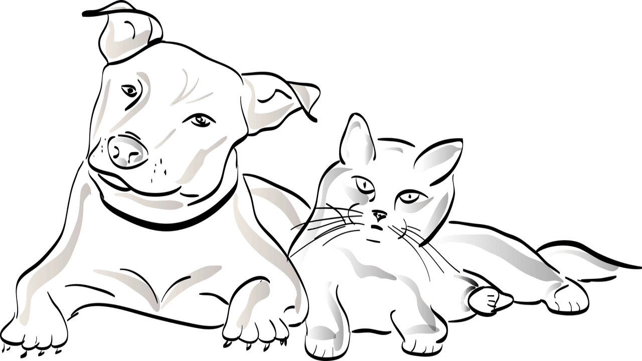 CBD Produkte Haustiere