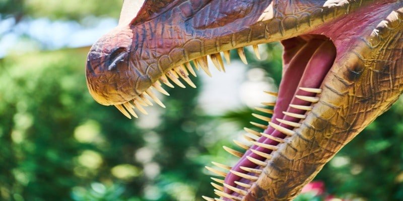 CBD Mundsp&uuml;lung Plaque