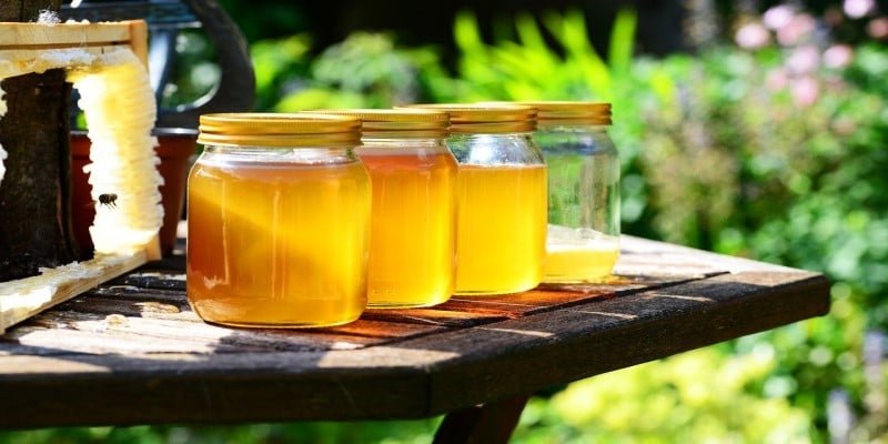 CBD Honig Fr&uuml;hst&uuml;ck