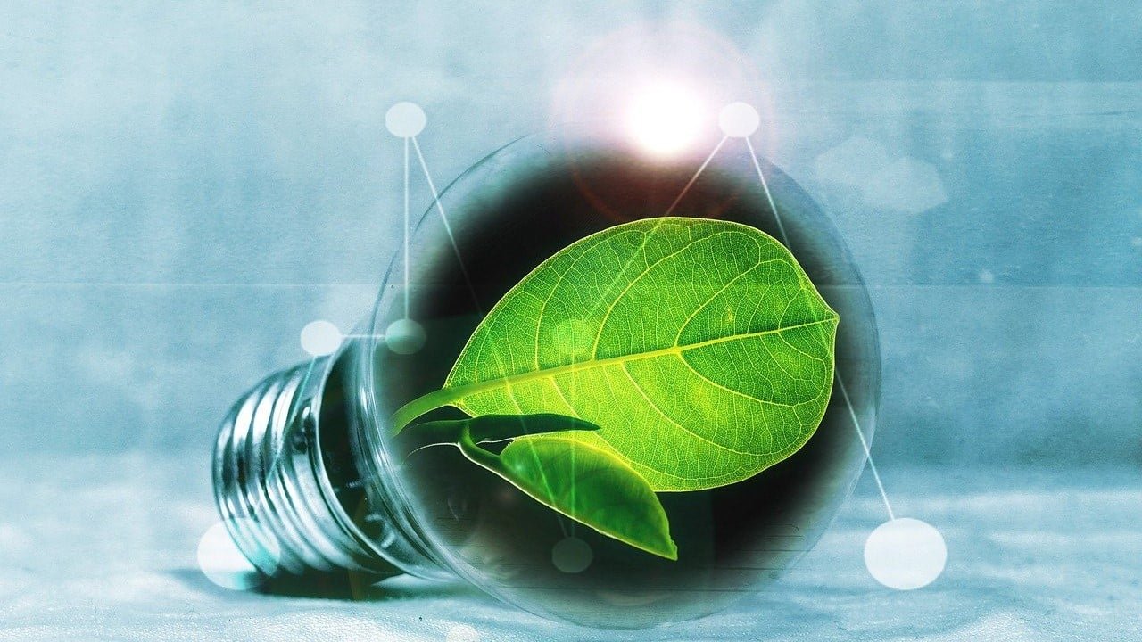 CBD Produkte Technologie