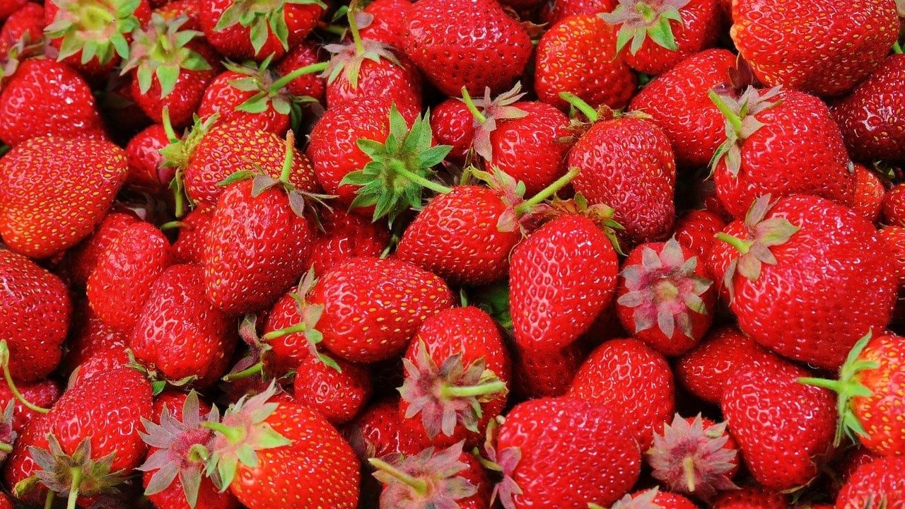 Erdbeeren Frische CBD-Öl