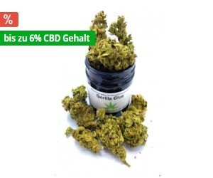 CBD Gras - CBD Garten 24
