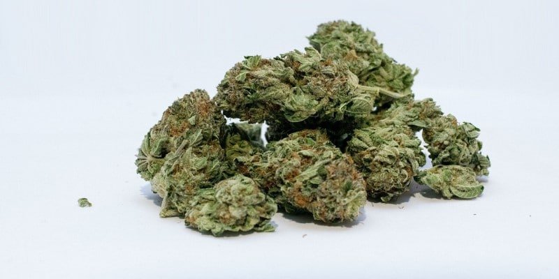 Gerichtsurteil Handel CBD-Bl&uuml;ten