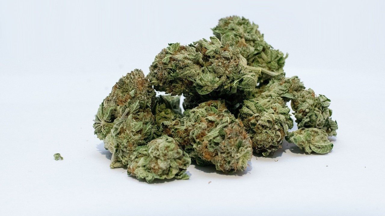 Gerichtsurteil Handel CBD-Blüten