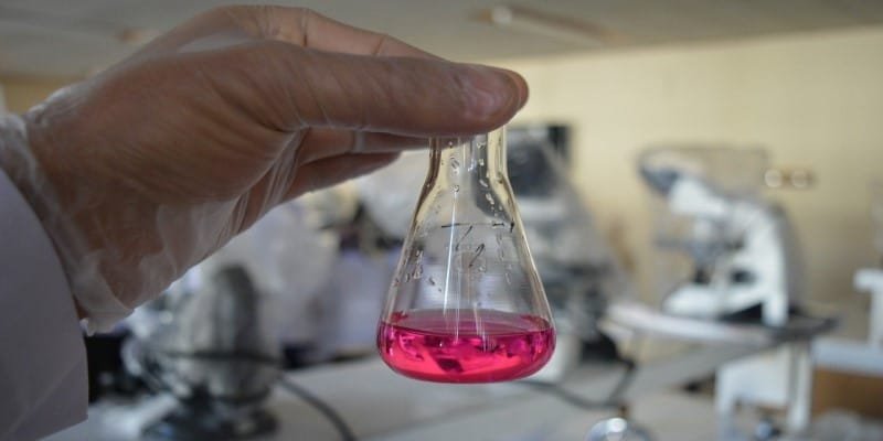 Anandamid CBD Schmerztherapie