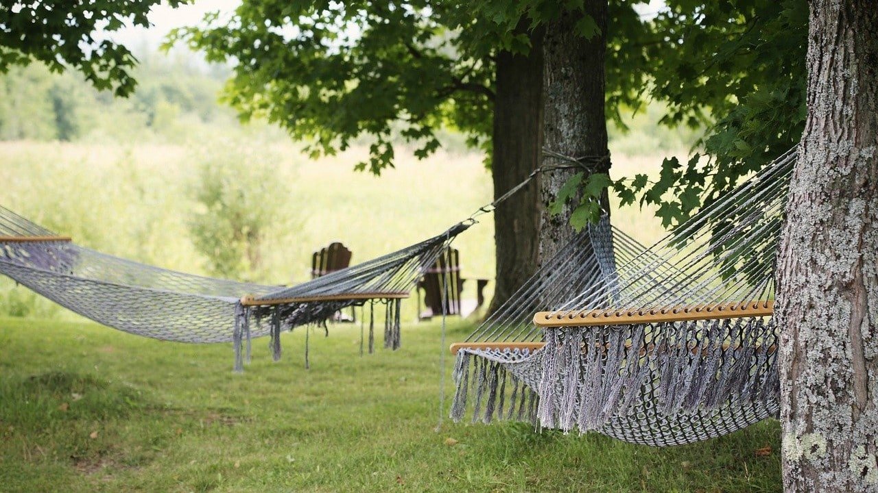 CBD Marktanteile Schlafmittel