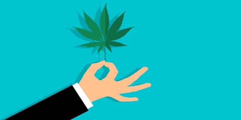 CBD Produkte THC-Limit