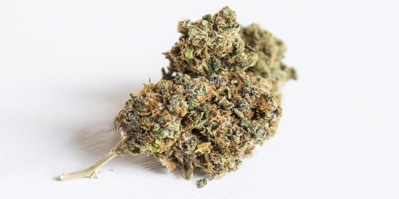 CBD Bl&uuml;ten legal