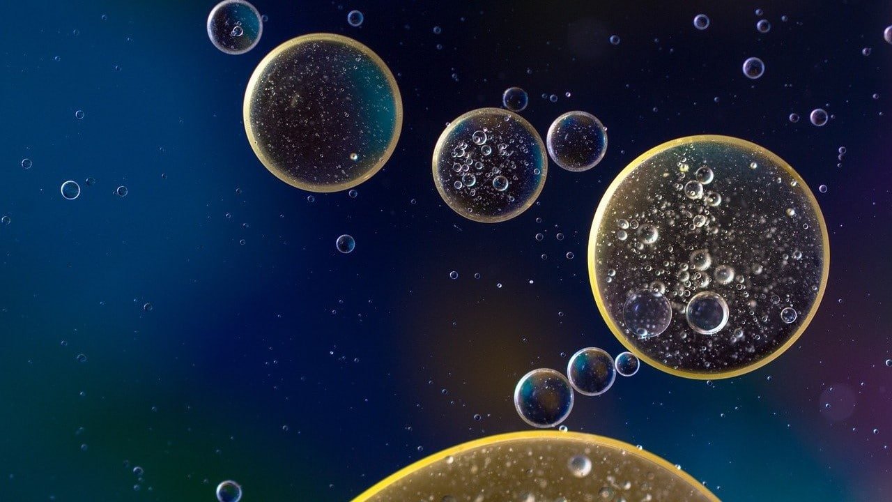 CBD-Öl CBG Vorteile