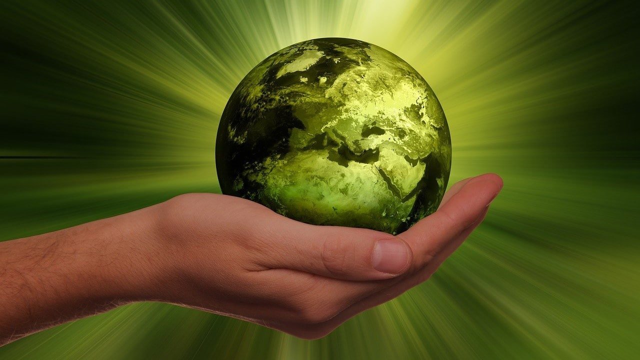 CO2 Siegel Hanfprodukte