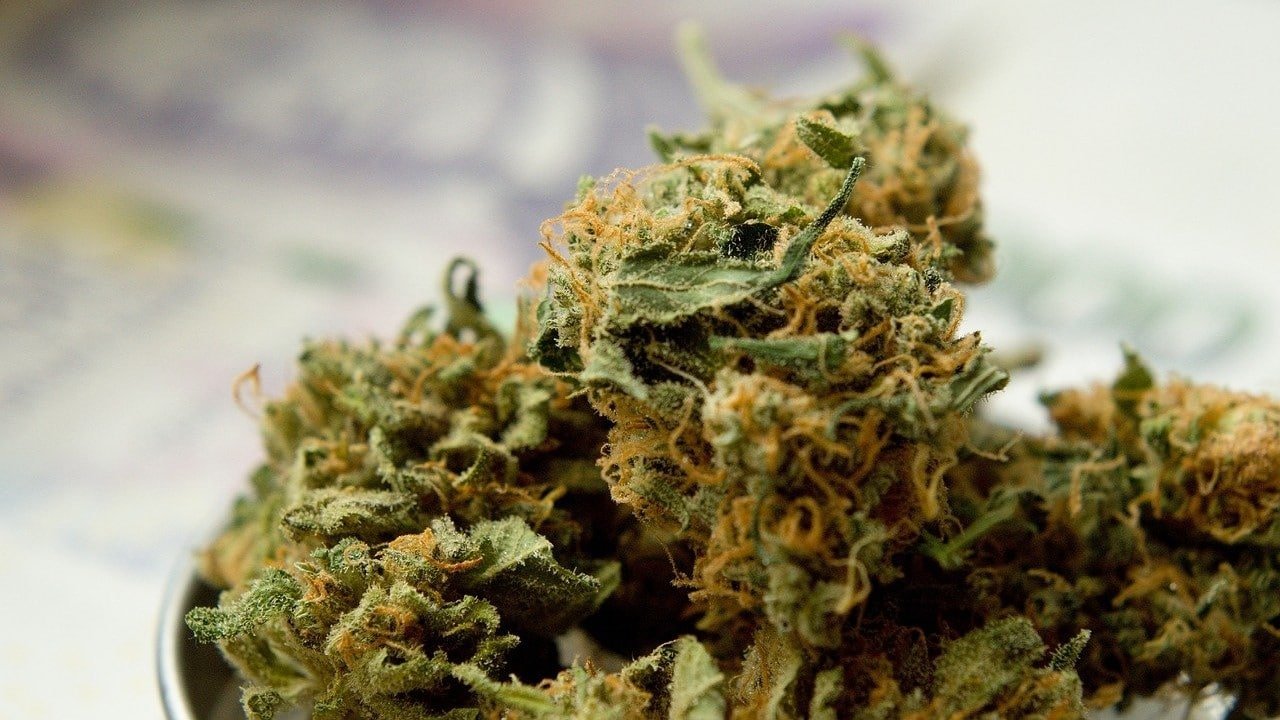 Delta-8-THC kaufen Test