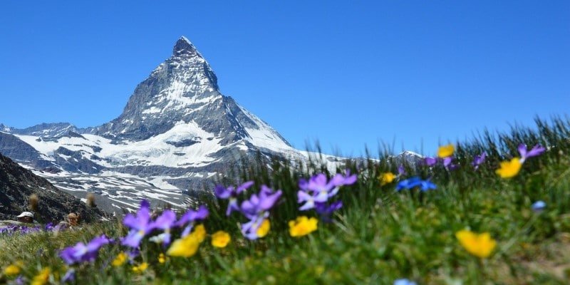 Schweiz Lockdown CBD-Öl