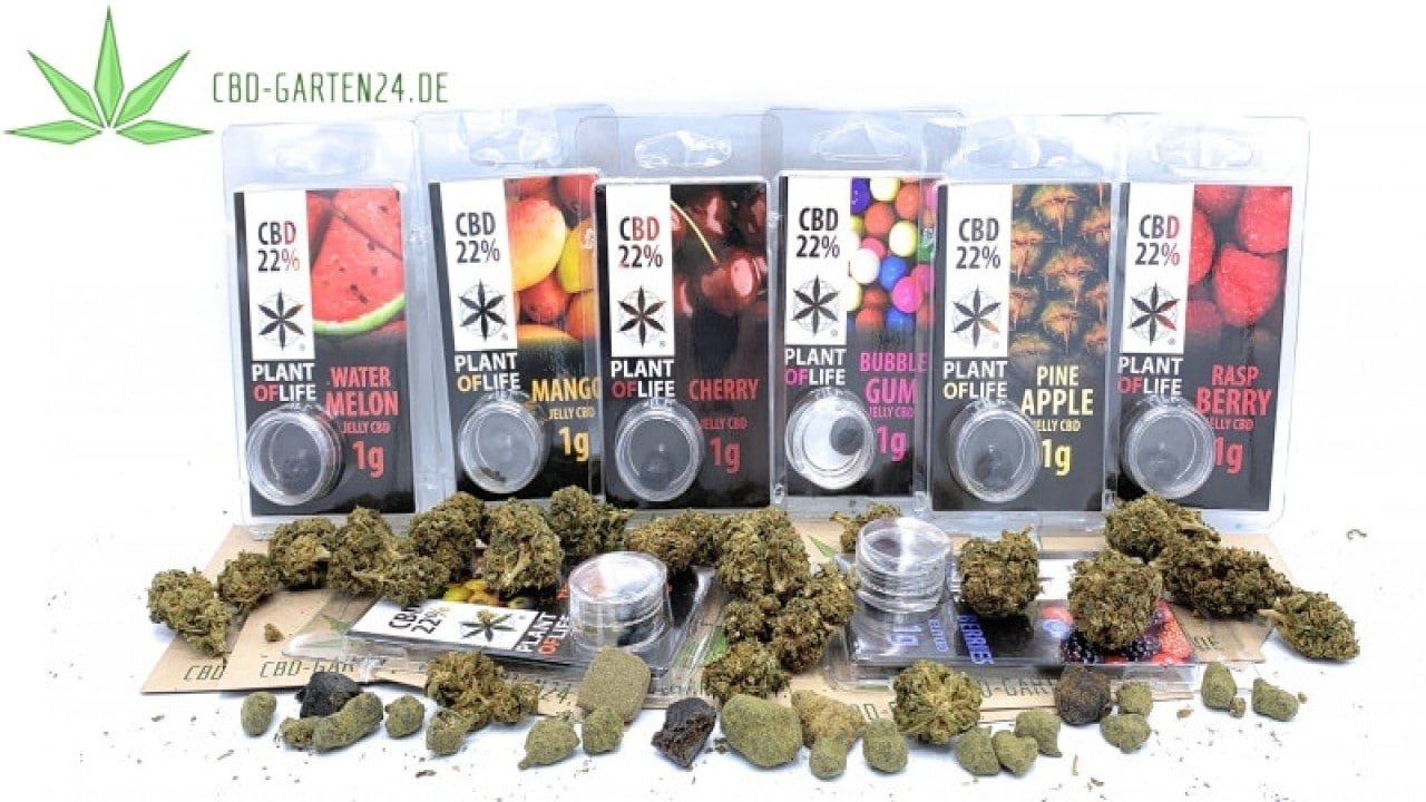 CBD-Garten24 Rabatt