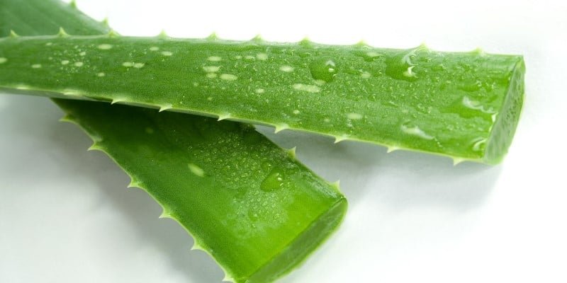 Aloe Vera CBD-Creme
