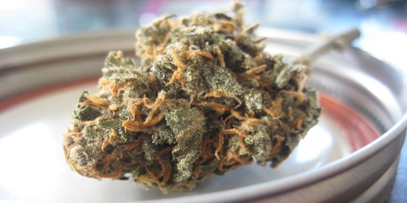 CBD-&Ouml;l Herstellung Rechtslage