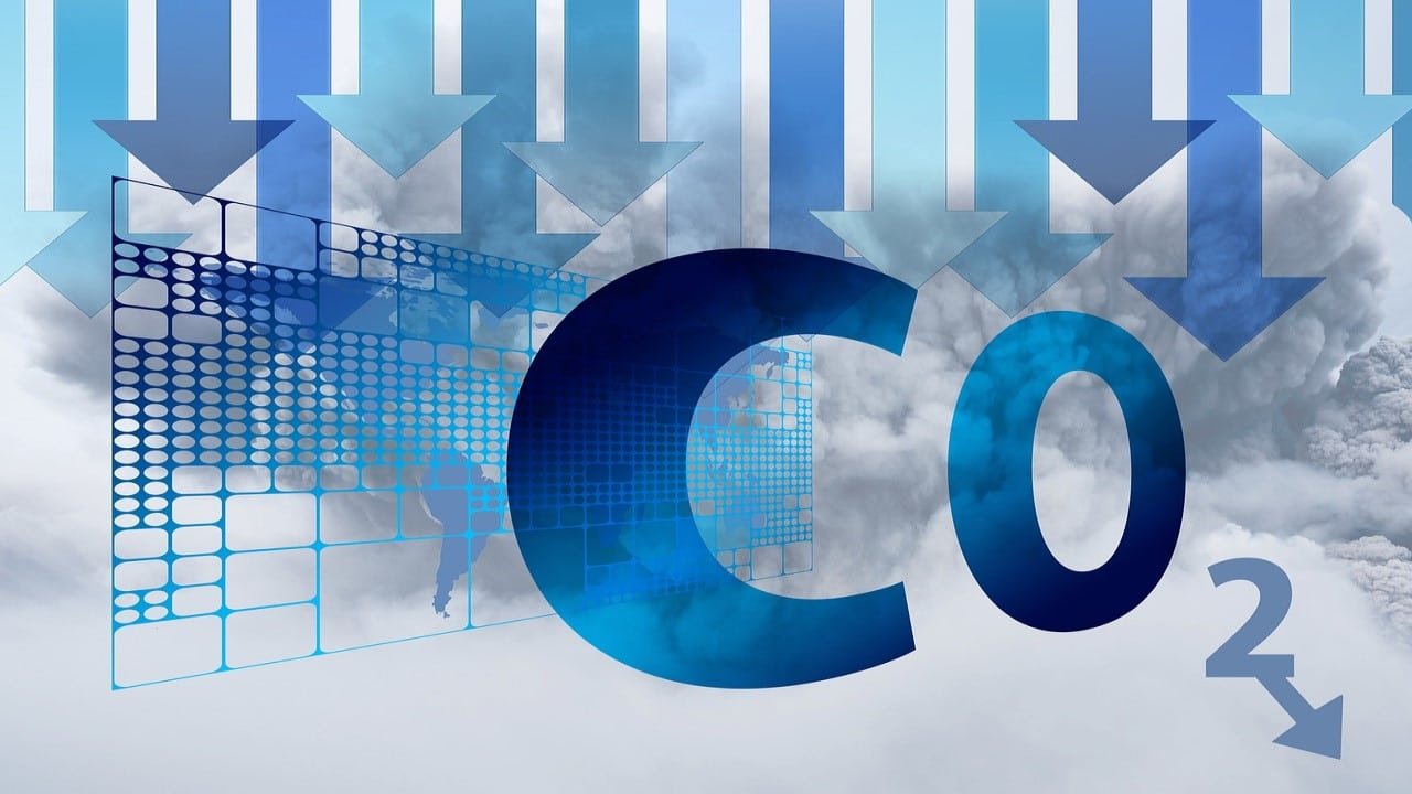 Nutzhanf CO2-Speicher Bäume