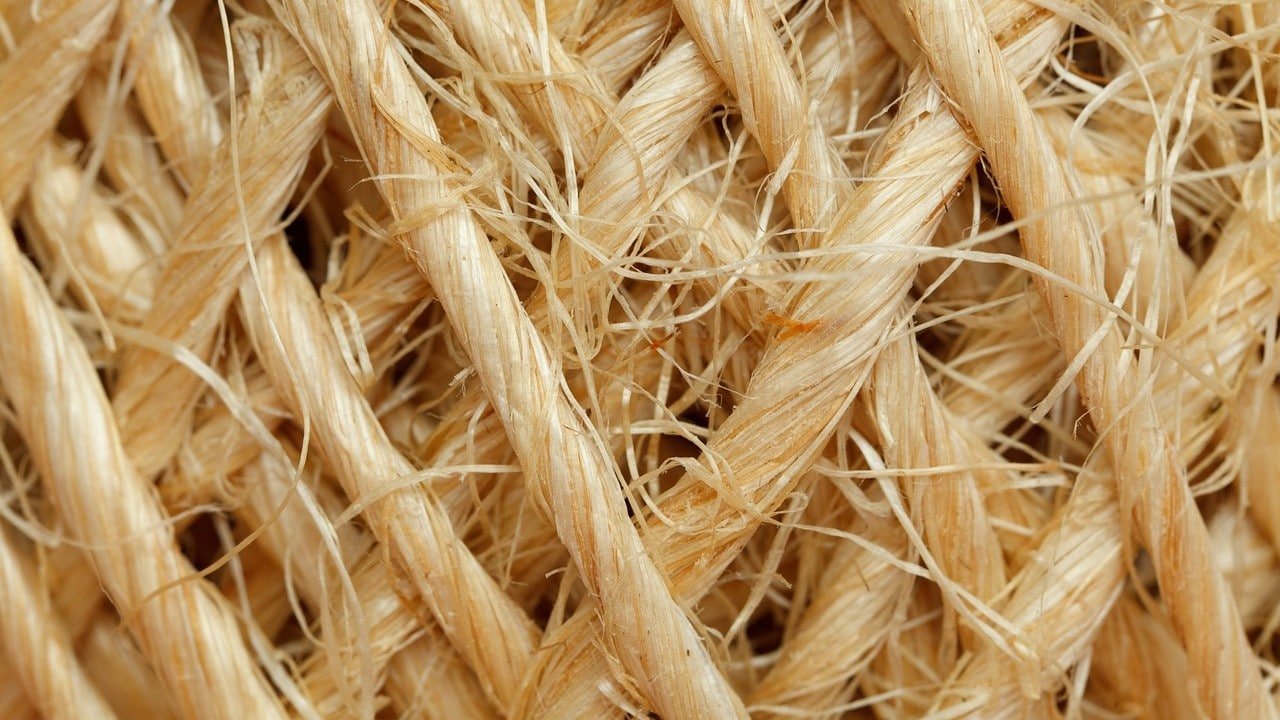 Nutzhanf Fasern Baustoffe