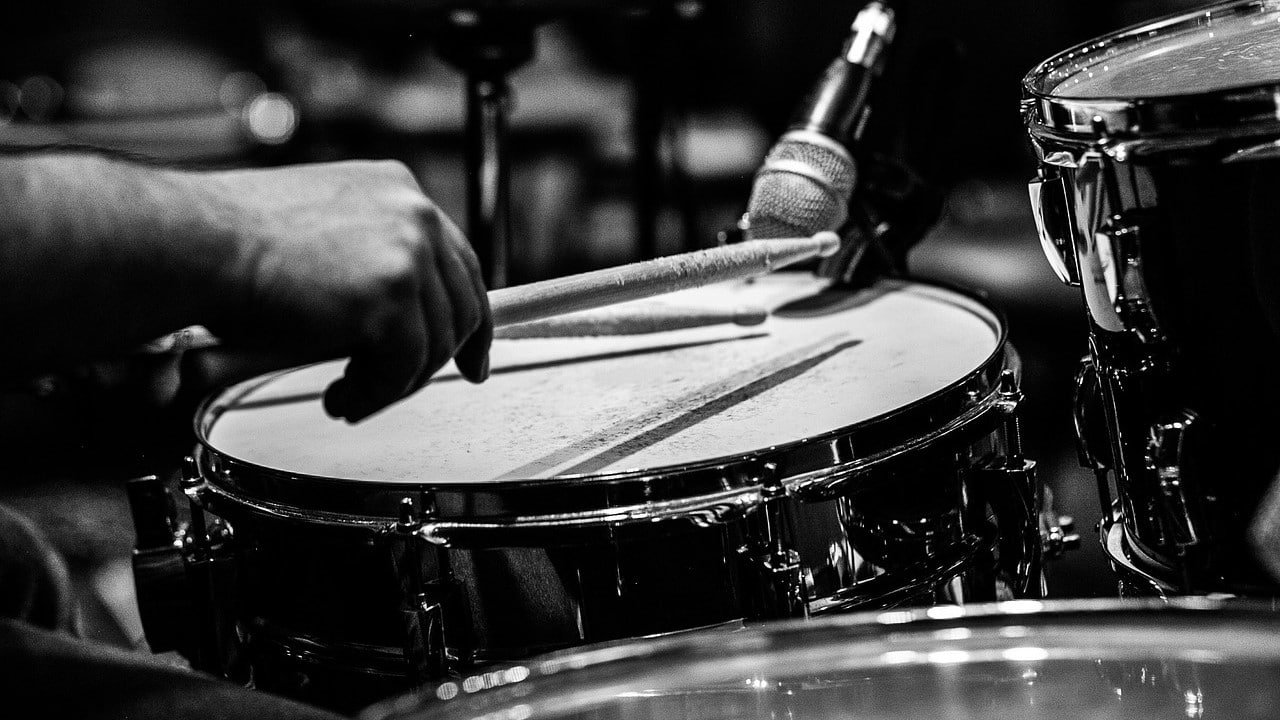 Prominente CBD Haustiere