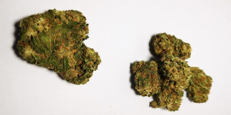 CBD Bl&uuml;ten Auswahl