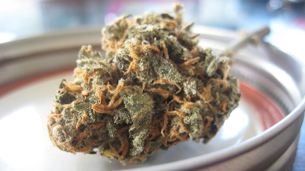 Cannabinoide Zucht Gewinnung