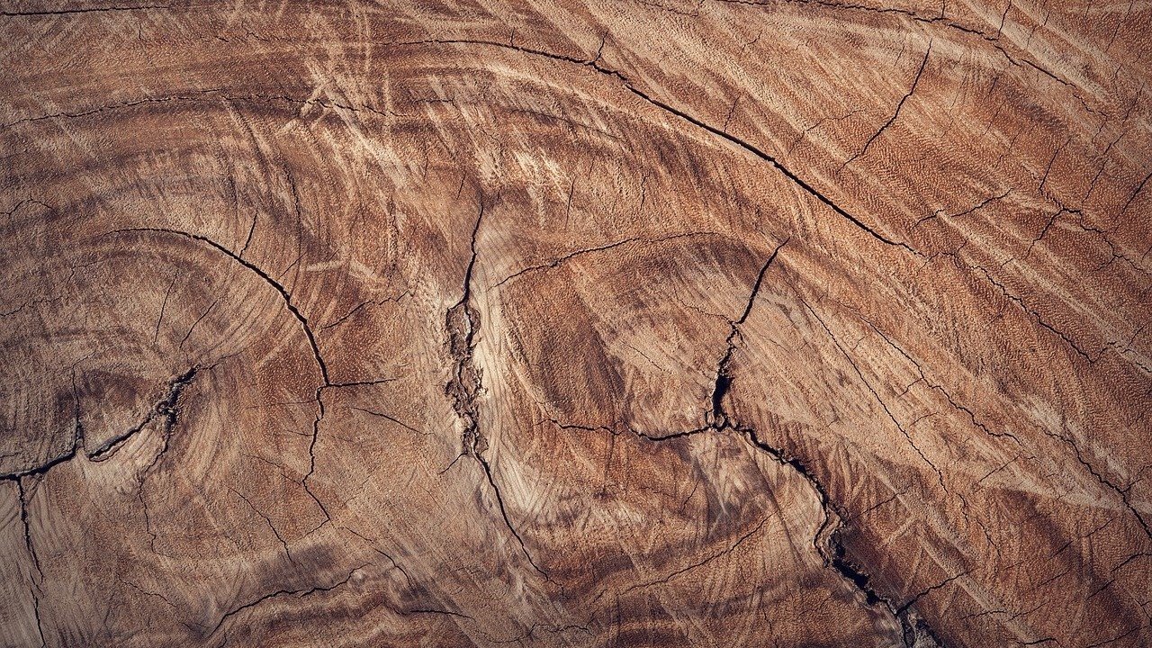 CBD Abfall Holzwerkstoffe