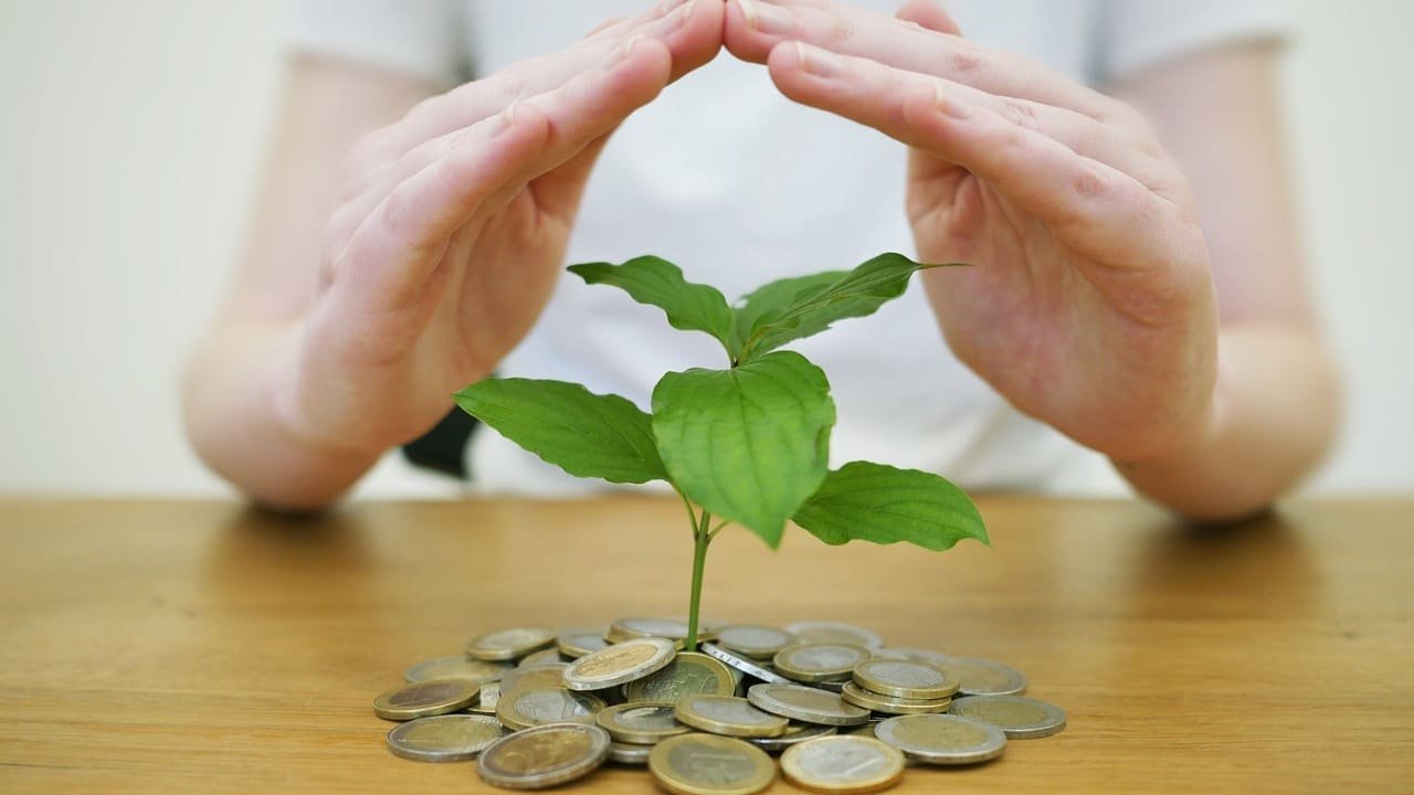 Cannabinoide Börse investieren