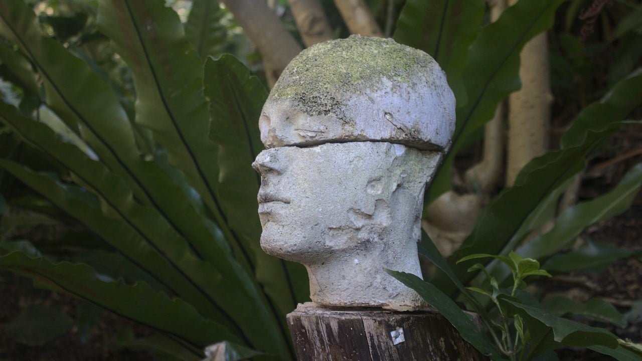 CBD Schädel-Hirn Trauma