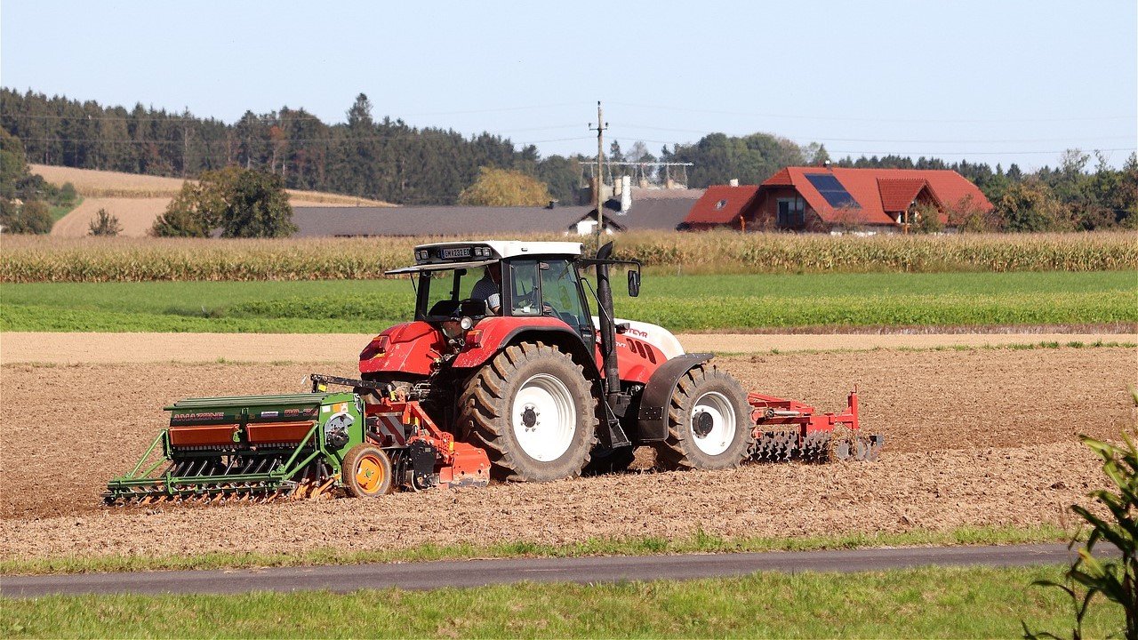 Nutzhanf Bauern Tipps