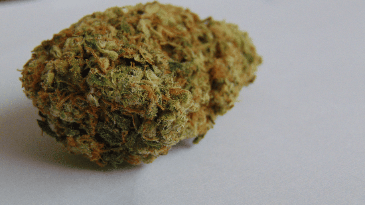 CBD Hanfsorten Entspannung