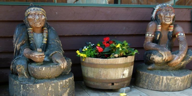 Nutzhanf Ureinwohner Ackerboden