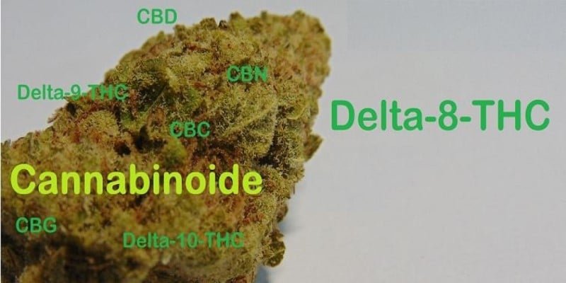 Studie Wirkung Delta-8-THC