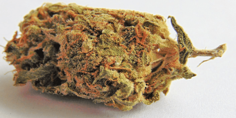 CBD Blüten Moonrocks