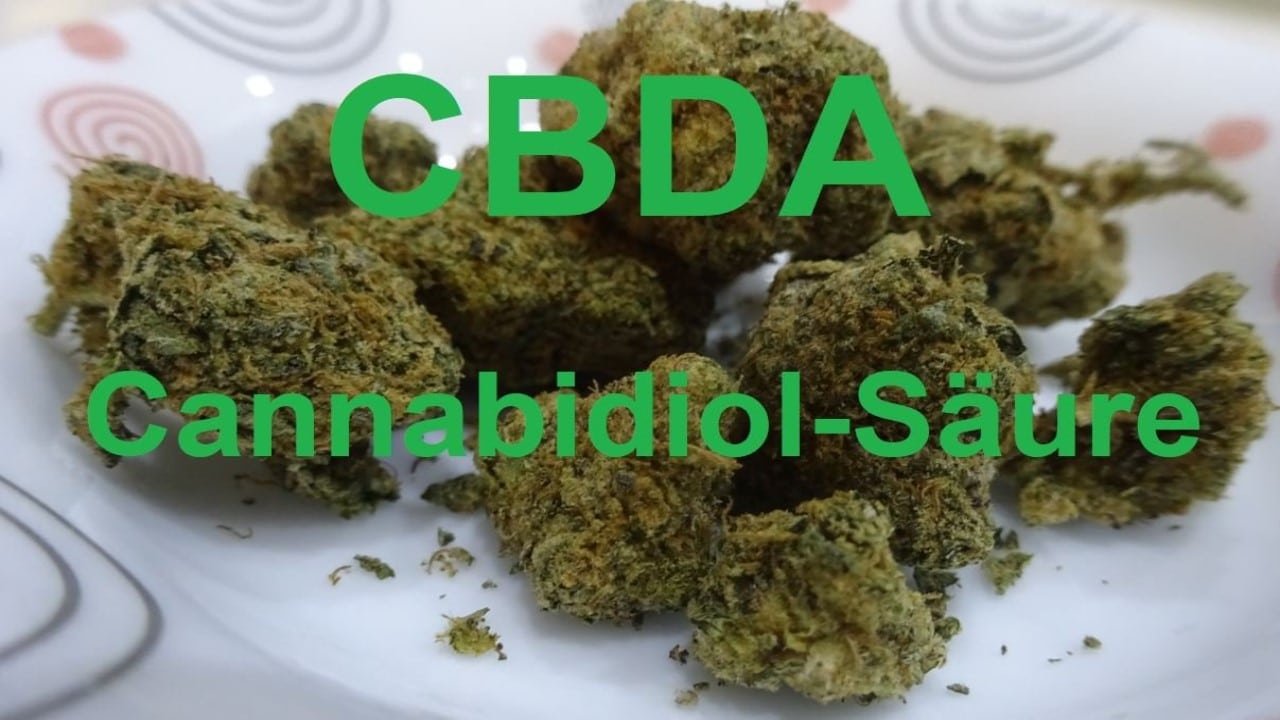 CBDA Cannabinoide Wirkung