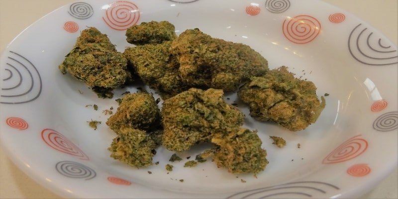 Polen CBD-Blüten legal