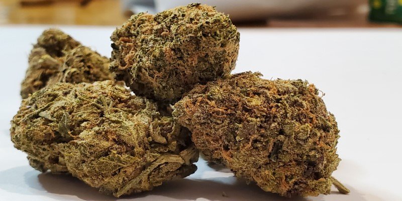 CBD Grasblüten anbauen