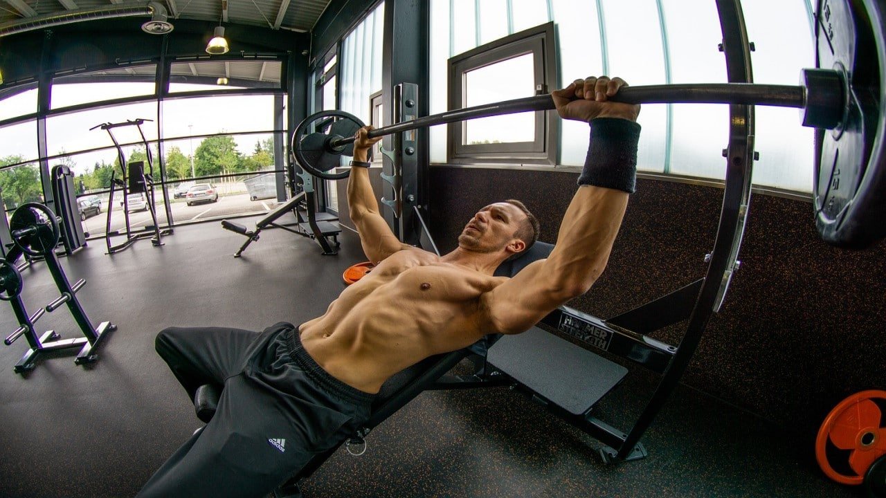 Endocannabinoide Sport CBD