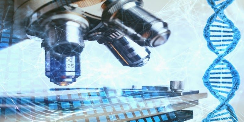 CBD Studien Cannabinoide