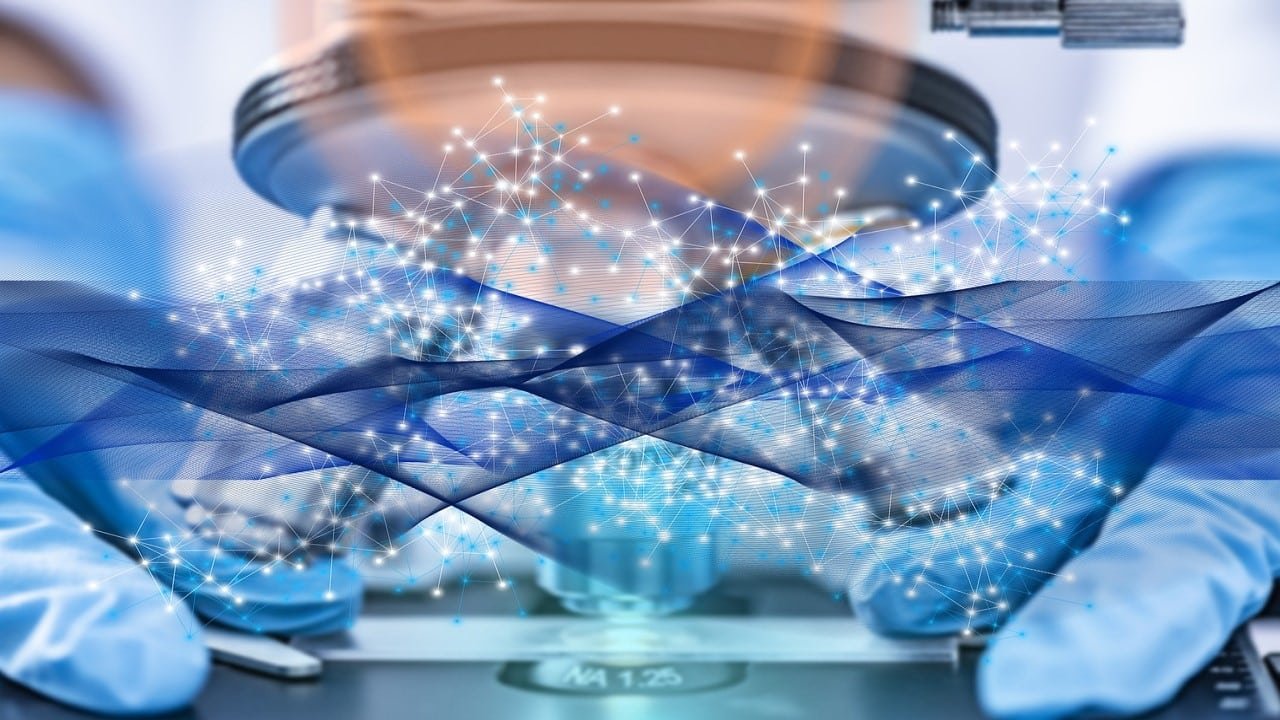 Cannabinoide Terpene Forschung