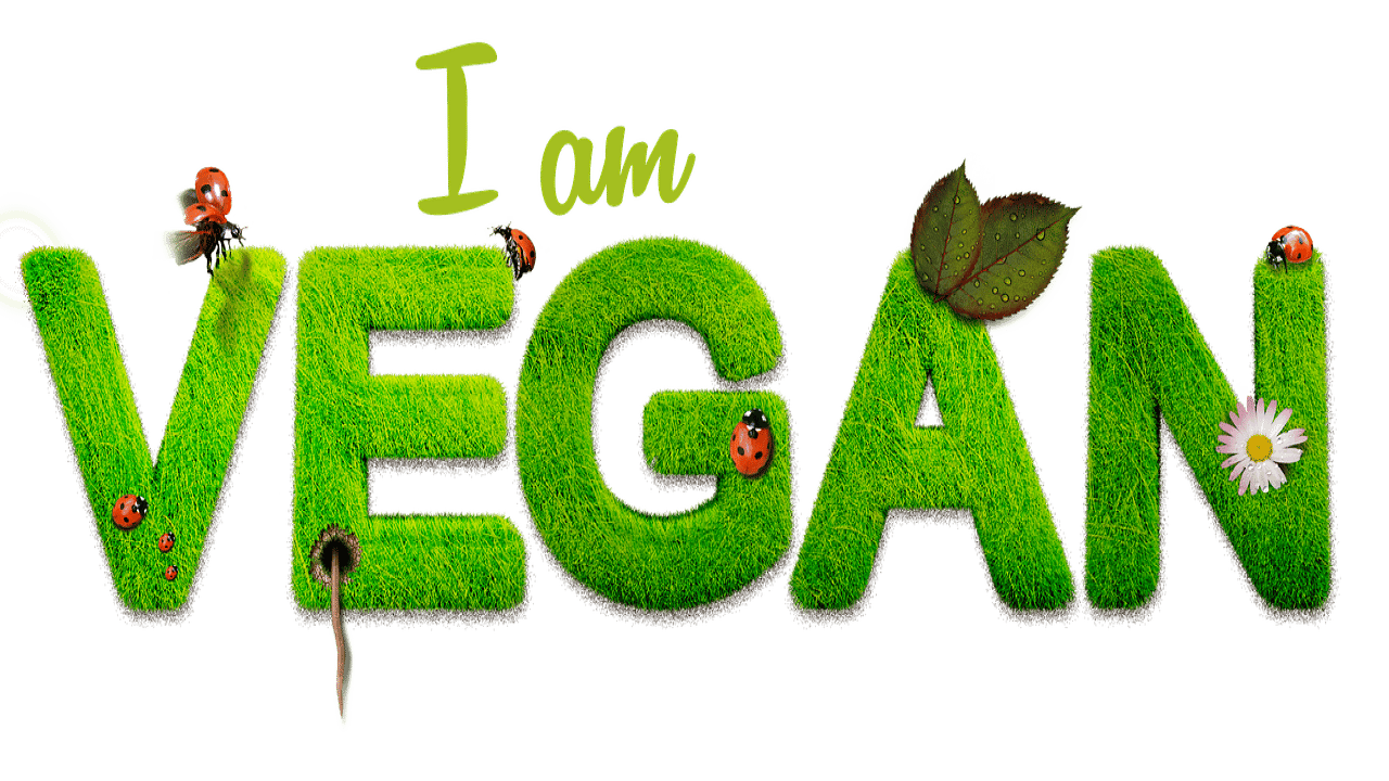 Lebensmittel Nutzhanf Ernährung