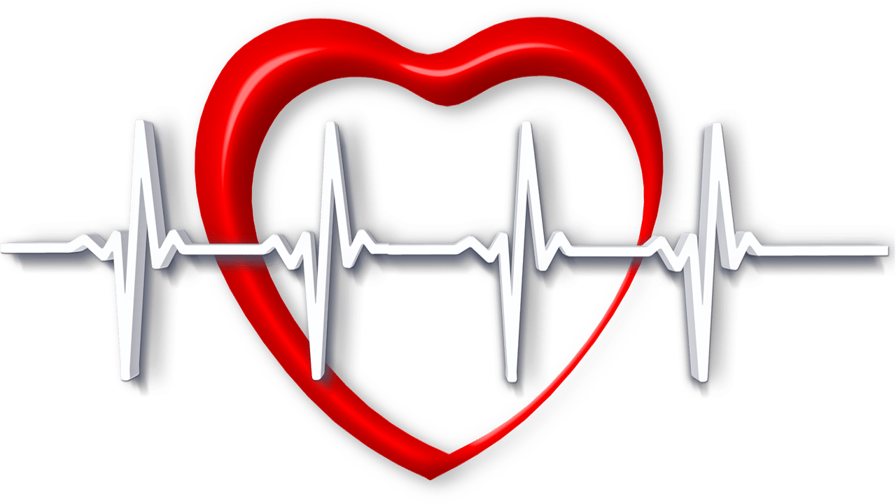 CBD Kardiologie Studie